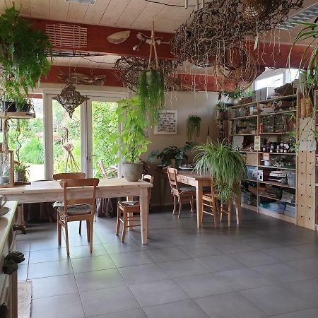 Appartementen Het Oude Atelier Schoorl Ngoại thất bức ảnh